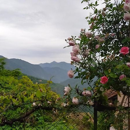 L'Ibrus Blue Bed & Breakfast Belvédère Екстериор снимка